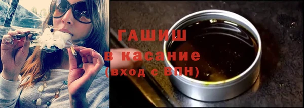 гидра Богородицк