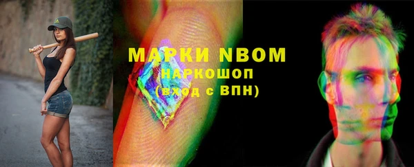 PSILOCYBIN Богданович