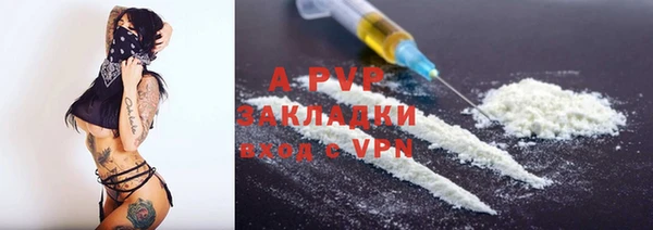гидра Богородицк