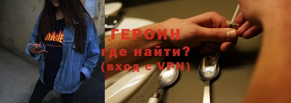 гидра Богородицк