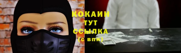 гидра Богородицк